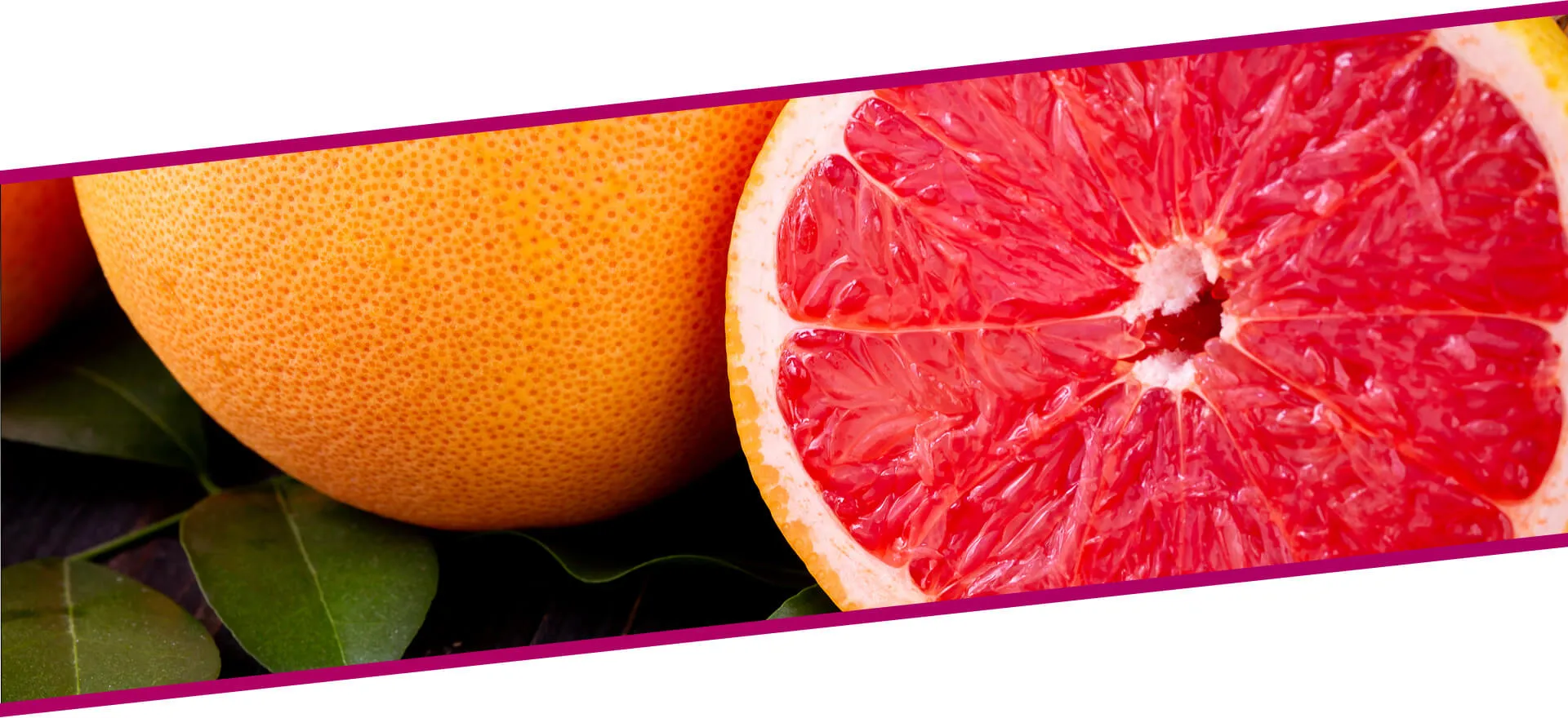 Ekstrakt uskolisne bokvice Sm