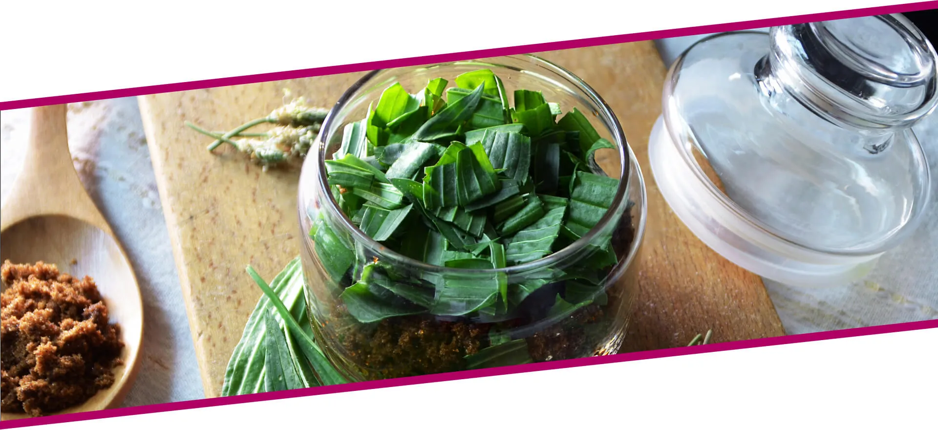 Ekstrakt uskolisne bokvice Sm